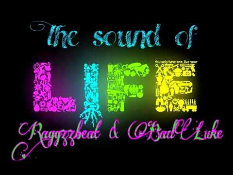 Dj Atomik vs E MaxX   Boom Shag Ragga Raggzzbeat & BadLuke Remix