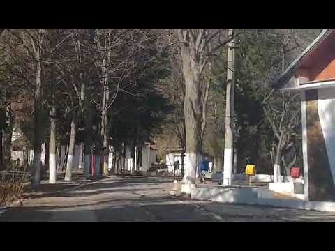 Tabara de la Arbanasi, transformata in centru de carantina, pazita de jandarmi