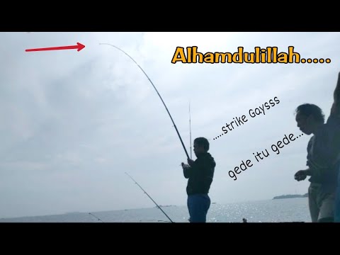 MANCING BAGAN TERBARU || BAGAN FAVORIT !! GAK PERNAH KOSONG || BAGAN PERTAMINA