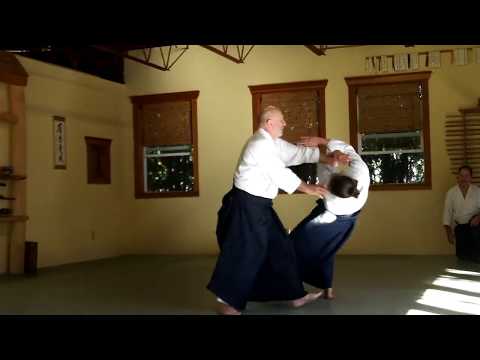 Didier Boyet: Shomenuchi irimi nage