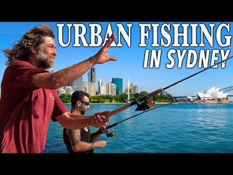 Coastal Urban Fishing & Seaside Beach Fun | Ep. 6 of Ovens Down Under in Australia