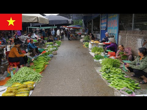 Exploring Van Market | A Charming Traditional Village Market in Vietnam
