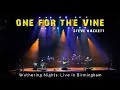 Steve Hackett - One For The Vine (Wuthering Night)