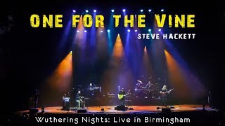 Steve Hackett - One For The Vine (Wuthering Night)