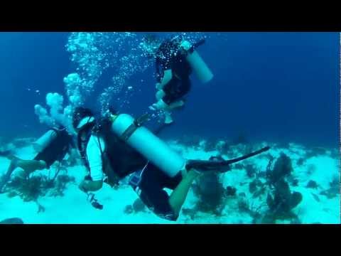 Santa Rosa Reef Scuba Dive - Cozumel, Mexico