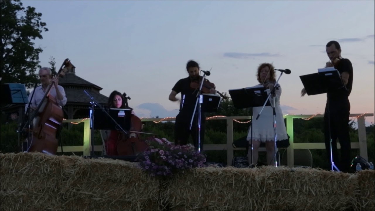 Promotional video thumbnail 2 for Orion Music Ensembles