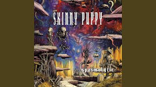 Harsh Stone White (Live)