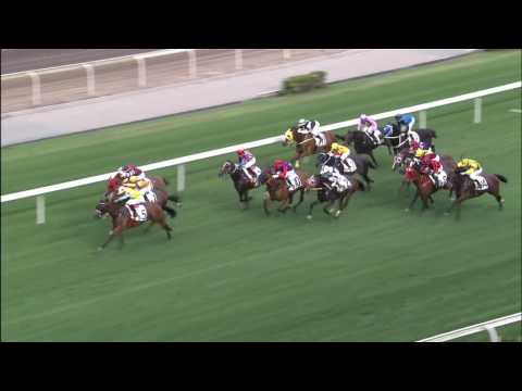 Happy Agility - Karis Teetan (9 april)