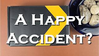 Did I Make A Mistake? RZE Urbanist Watch Unboxing