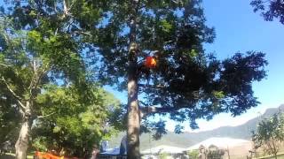 Barton Allan-Hall at the ISA APTCC 2014 - Sponsored By STIHL Australia