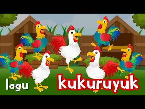 Kuku Kukuruyuk - Lagu Ayam Jago Terpopuler 2023