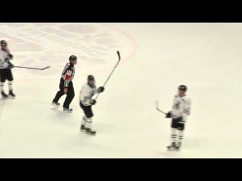 U20 EBYSL 2018.12.19  HC Orli Znojmo Mladez - MAC Budapest 4:6