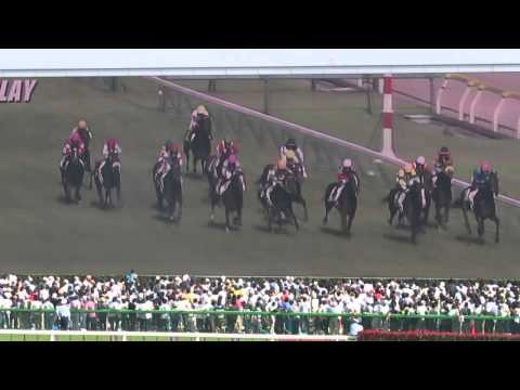 ワンアンドオンリー　ダービー