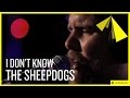 The Sheepdogs | I Don't Know 