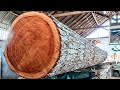 The monster mahogany log sawmill terrible & most expensive
