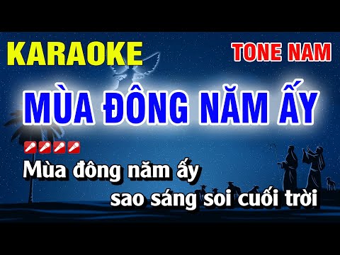 Karaoke Mùa Đông Năm Ấy Tone Nam Nhạc Sống Dễ Hát | Nguyễn Linh