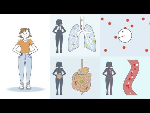 Das Immunsystem: einfach erklärt