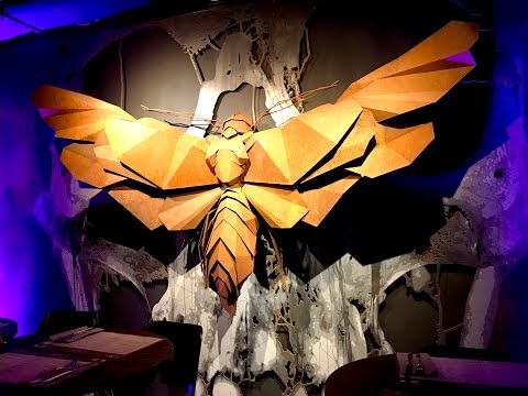 ĆMA by Mateusz Gessler