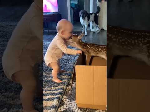 Baby Funny 😂🍼 #funny #fails #baby #kids 🤣🤣🤣