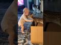 Baby Funny Funny Fails Baby Kids