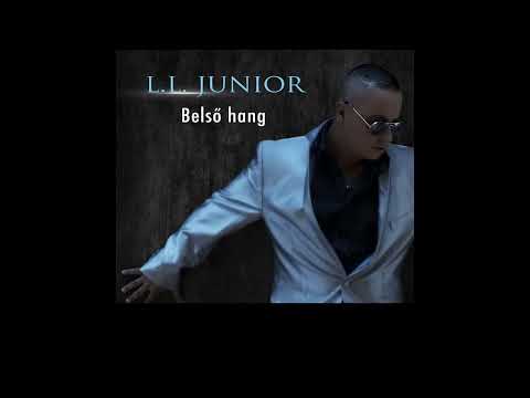 Gyarló ember - L. L.  Junior, Lyrics Frank #Cigányzene #Magyar #feliratok #Szöveges videó #Népzene