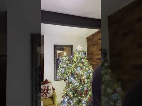 Frank Sinatra - I’ve Got You Under My Skin (1956)