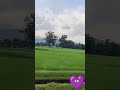 Kya Karen Yeh Dil Tum Bin Kahin Lagta Nahin Always In My Thoughts ️