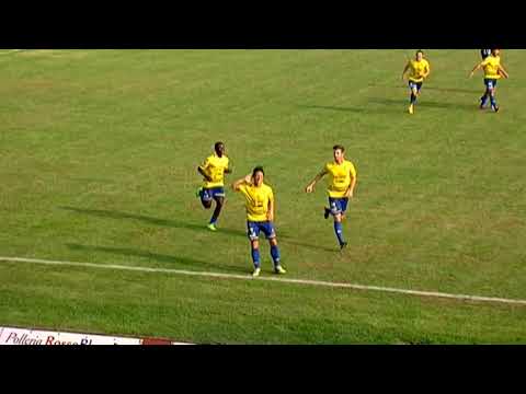 hl axys zola modena short