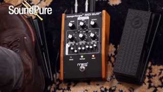 Video thumbnail for Moog MF-105M MIDI MuRF Pedal Demo by soundpurestudios