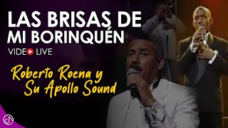 Las Brisas de Mi Borinquen Lyrics English Translation