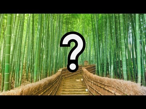 FREE Chinese Oriental Flute Type Beat 2019 "Bamboo" 🎋 Free For Profit