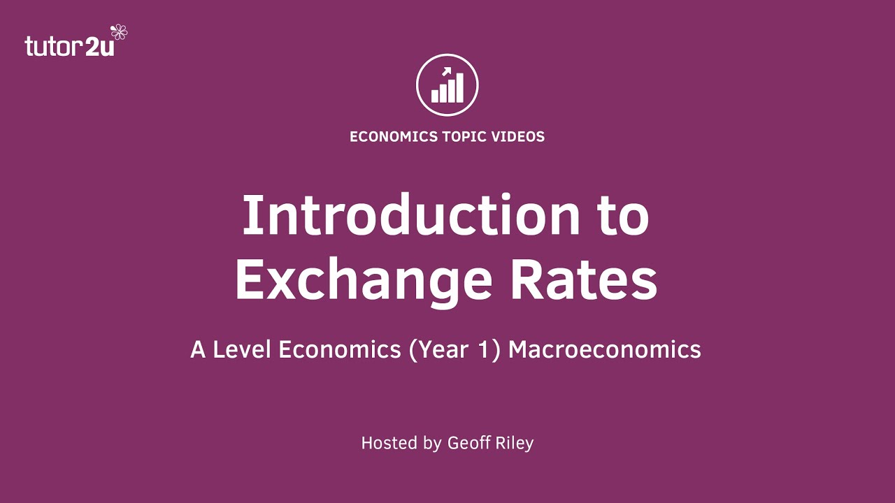 Introduction to Currency Economics