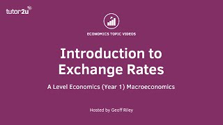 Introduction to Currency Economics