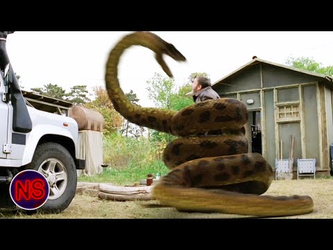 KILLER Snake Eats Man Whole! | Anacondas: Trail of Blood (2009) | Now Scaring