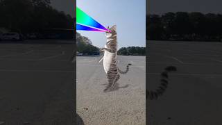 Download lagu Humara Naam Bagad Billa Hai 🙀🐈⬛🙀 #cat #cats #catvideos #shorts #viral #catfight mp3 Download lagu Humara Naam Bagad Billa Hai 🙀🐈⬛🙀 #cat #cats #catvideos #shorts #viral #catfight mp3