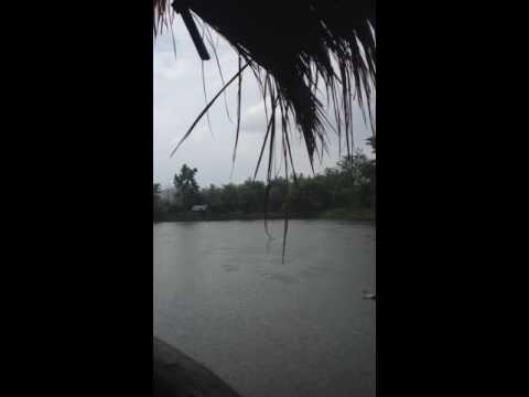Swimming while raining