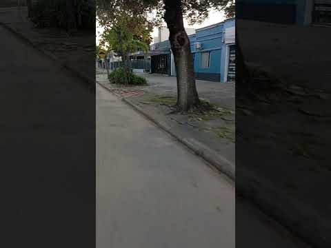 un paseo por la ciudad.de young rio negro Uruguay.