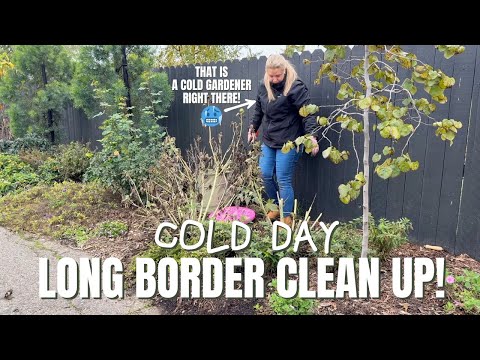 A Cold Day of Winter Garden Cleanup in the Long Border 🥶