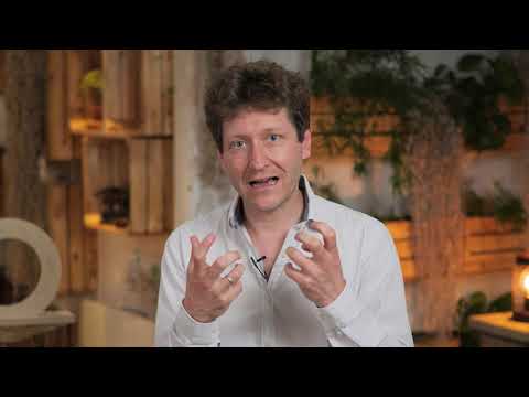 #BASIC : Pourquoi la nécrose tubulaire aiguë diminue le DFG ? - Pr S. Gaudry