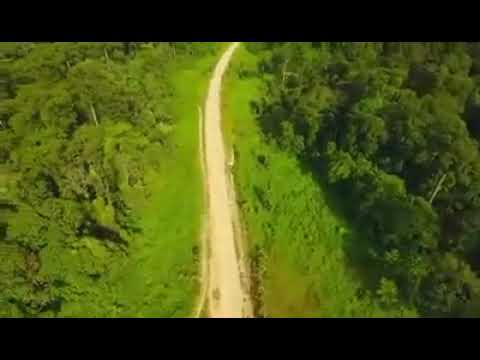 Maliau Basin - Entrance Aerial View