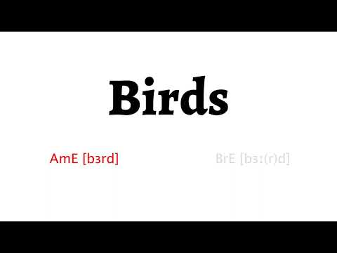 How to Pronounce birds in American English and British English