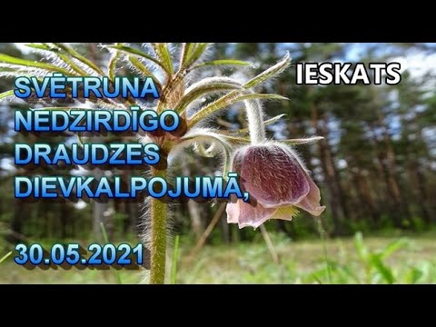 Ieskats svētrunā "Iesākumā bija Vārds"