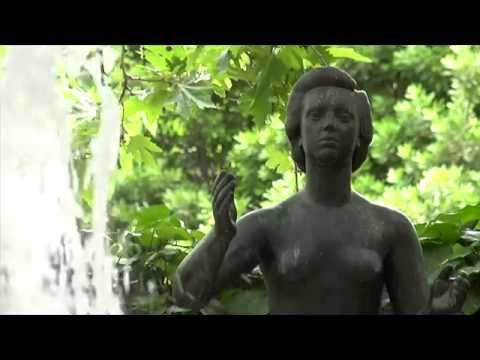 Vangelis Anastasiou - Diplomacy !, mindfuck remix video clip HD