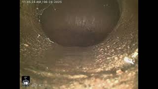 13555 SW Fircrest Court