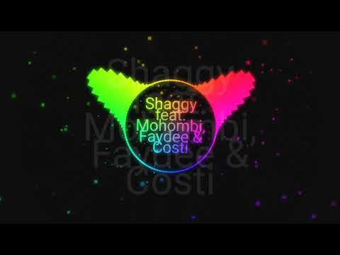 Shaggy feat Mohombi Faydee & Costi - Habibi (I need your love)Remix