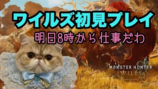 【MHワイルズ】明日8時から仕事だけどやる