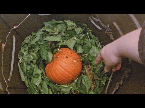 I got cold feet on keeping my outdoor worm bin outdoors - vermicomposting