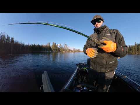 Hauen heittokalastusta täsmänä.