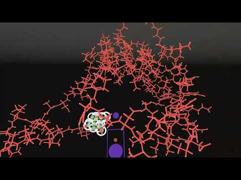 Tying a knotted protein with interactive molecular dynamics in VR