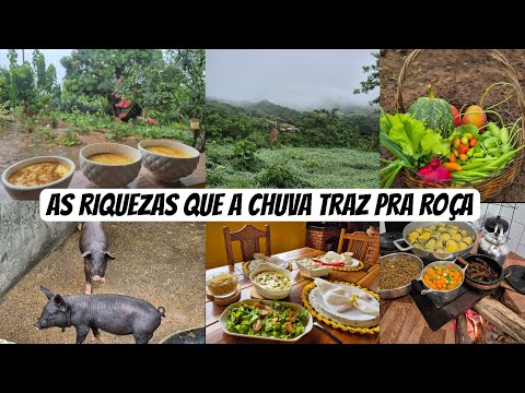 Lots of rain in the backlands/ look how beautiful everything is/ stroganoff/ I made more corn cak...